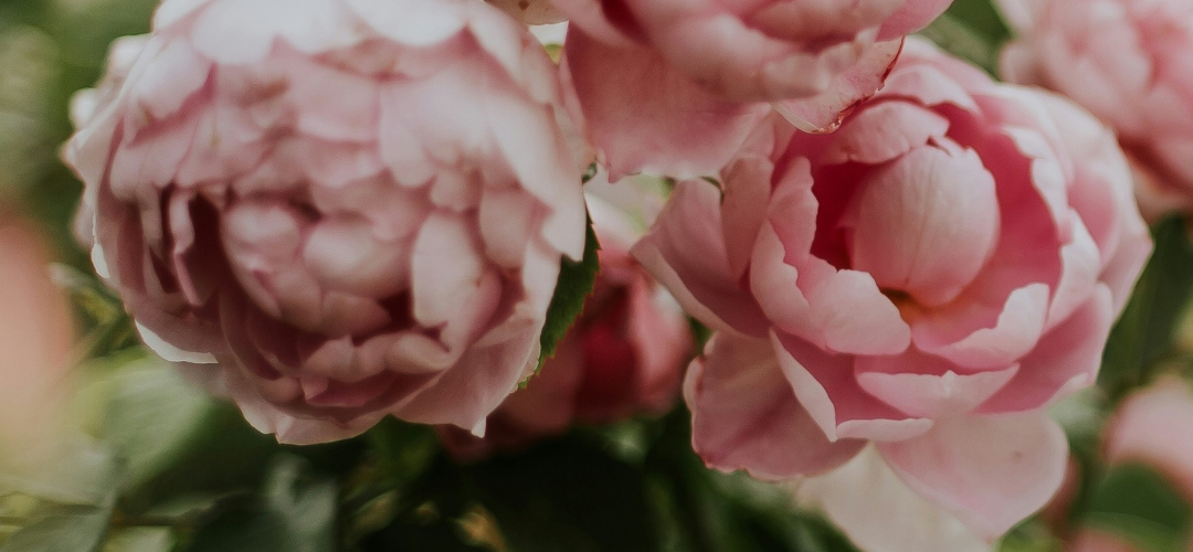 Mood: Floral, Signature Scent