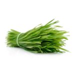 Vetiver