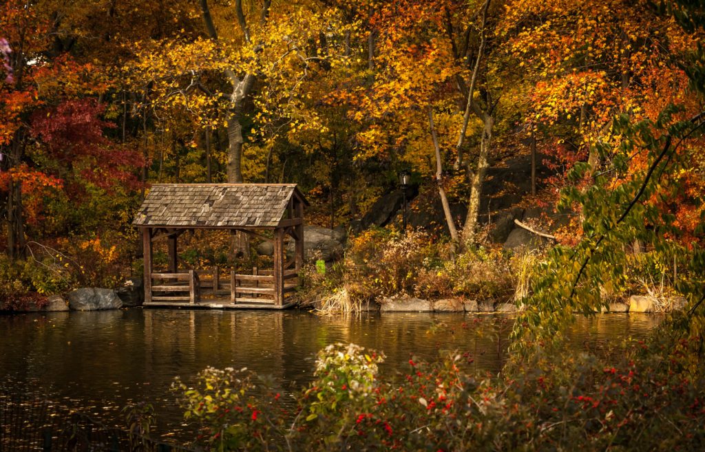 Herbstlich verf&auml;rbter Wald. Leuchtenden Orange- und Gelbt&ouml;ne der Bl&auml;tter. Im Vordergrund ein kleiner See in dem sich die Waldszenerie spiegelt. Im rechten Bildrand befindet sich eine kleine Bootsh&uuml;tte.